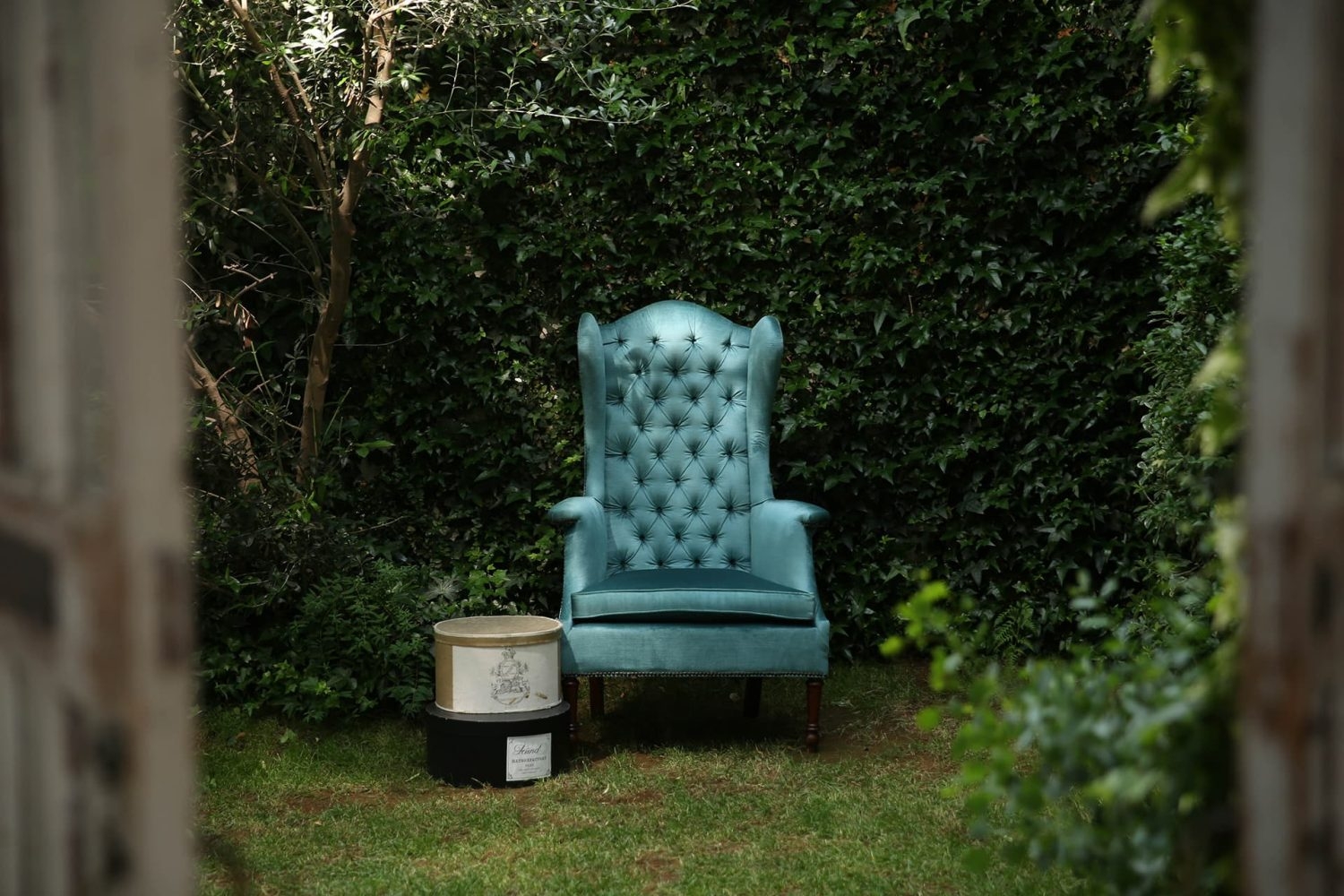 庭C 蔦壁と椅子
