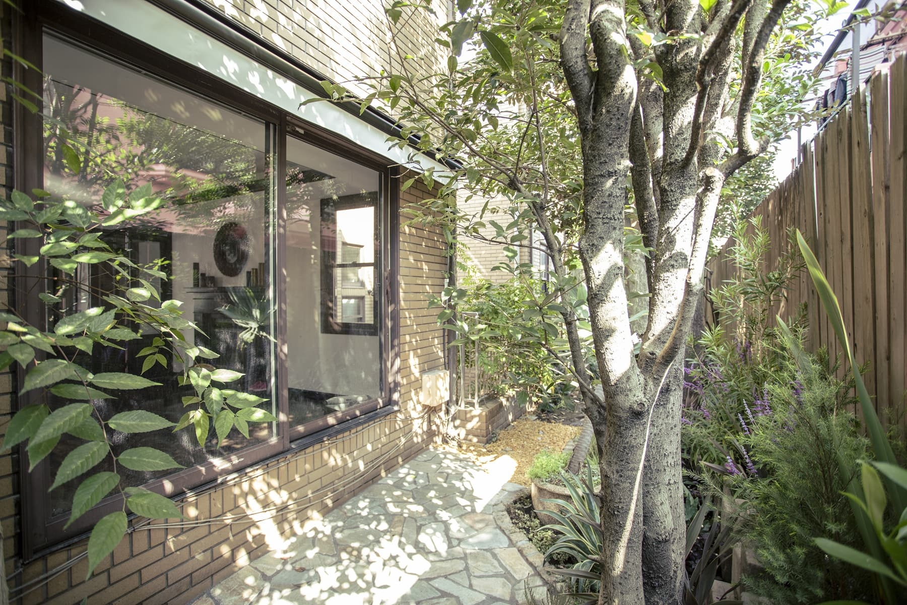 緑あるテラスから室内も