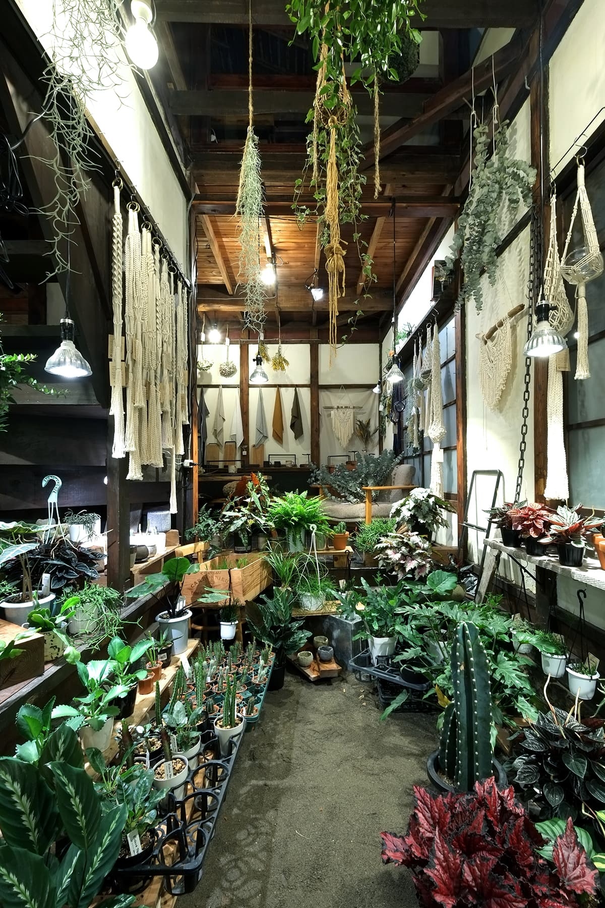 1F shop