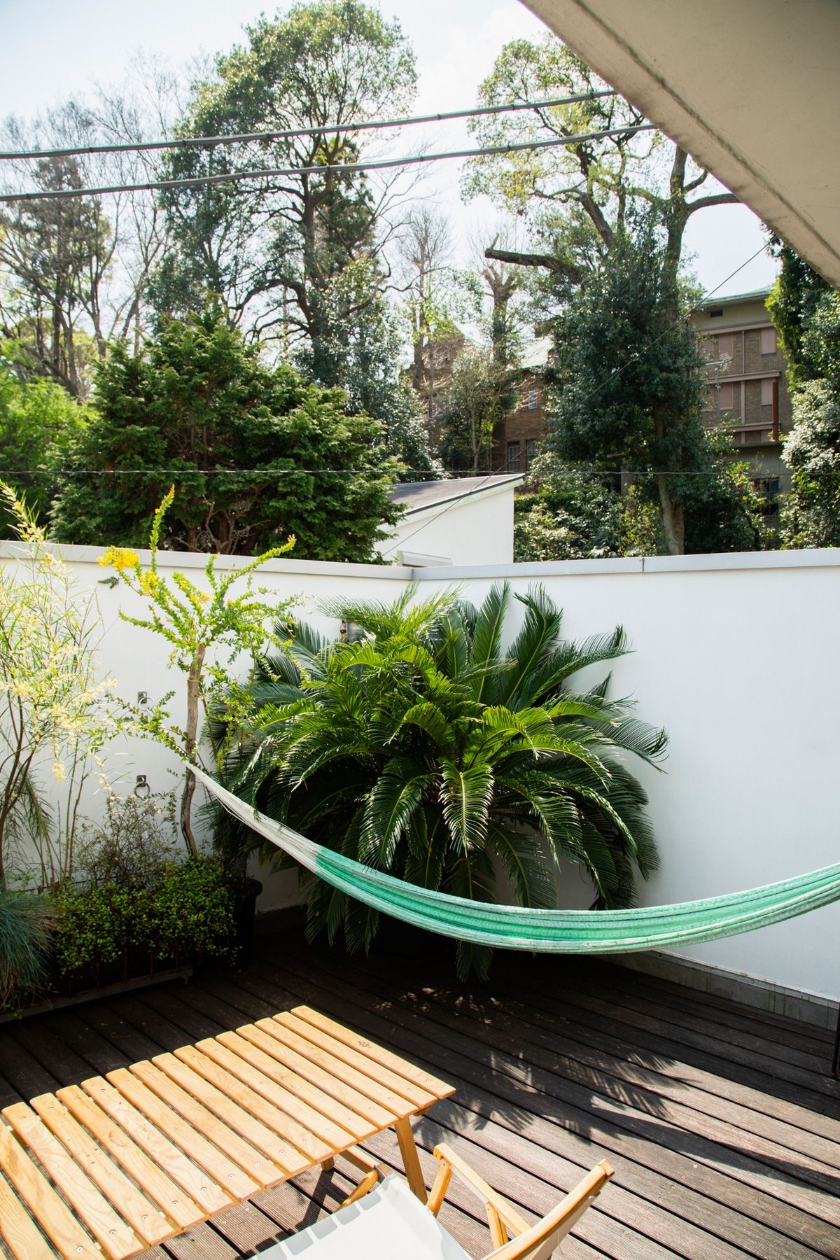 2F / Terrace②