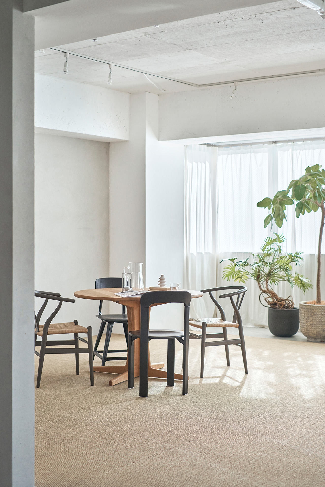 ダイニング南向き / 豊富な植物プロップでコーディネートも