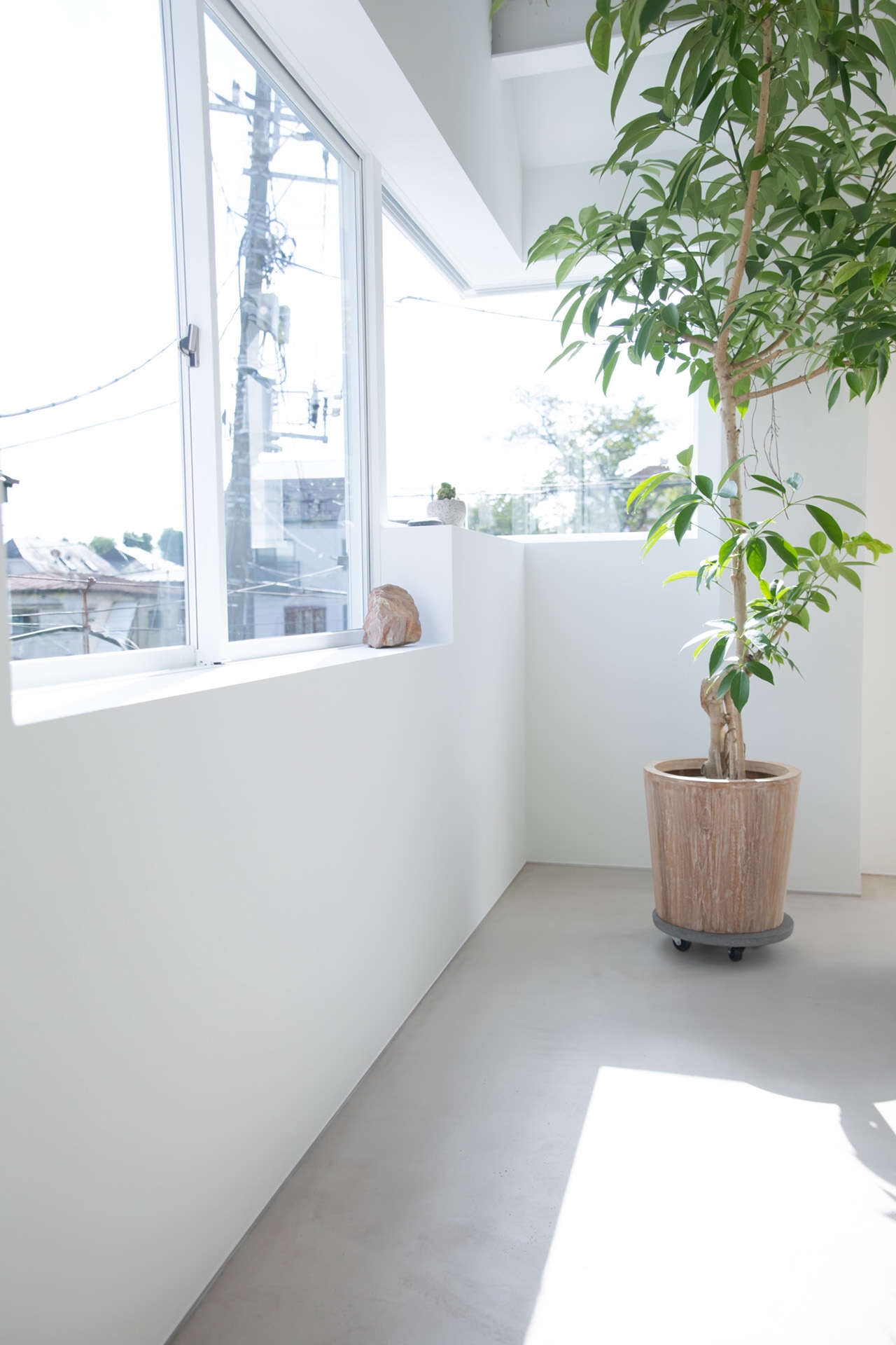 朝の自然光 / カーテンを開けて直射での撮影も