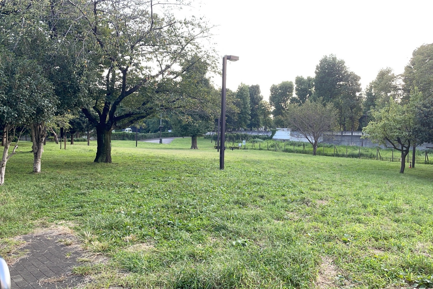 目の前の公園 / 公園ロケと組み合わせた撮影も