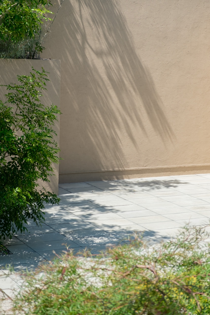 木漏れ日は朝の時間帯