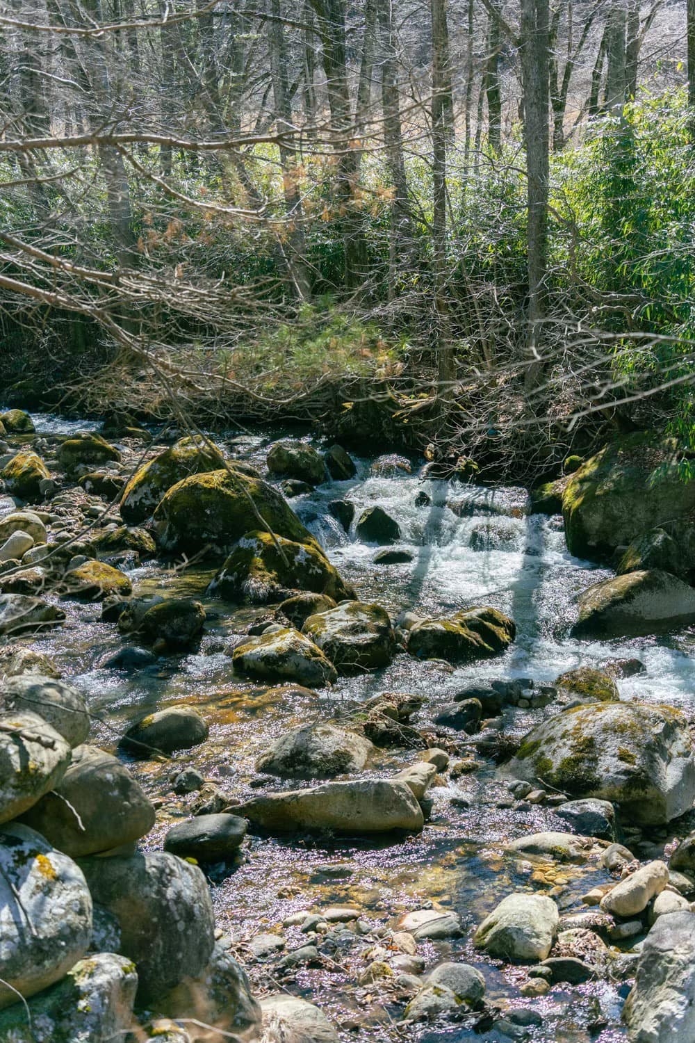 近隣ロケ地：岩に苔むす川