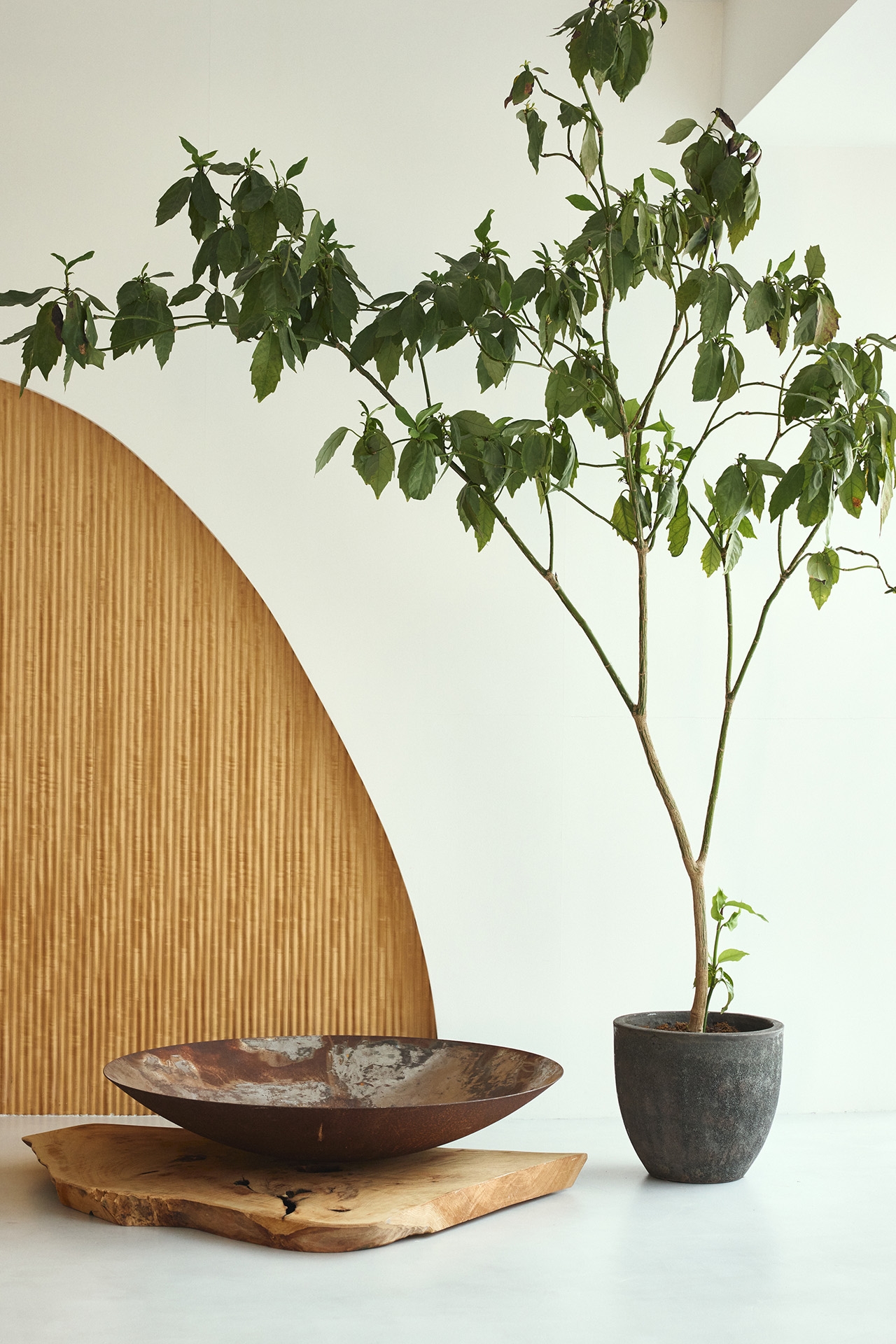 切り取り方で形の変わる造作ウッドウォール