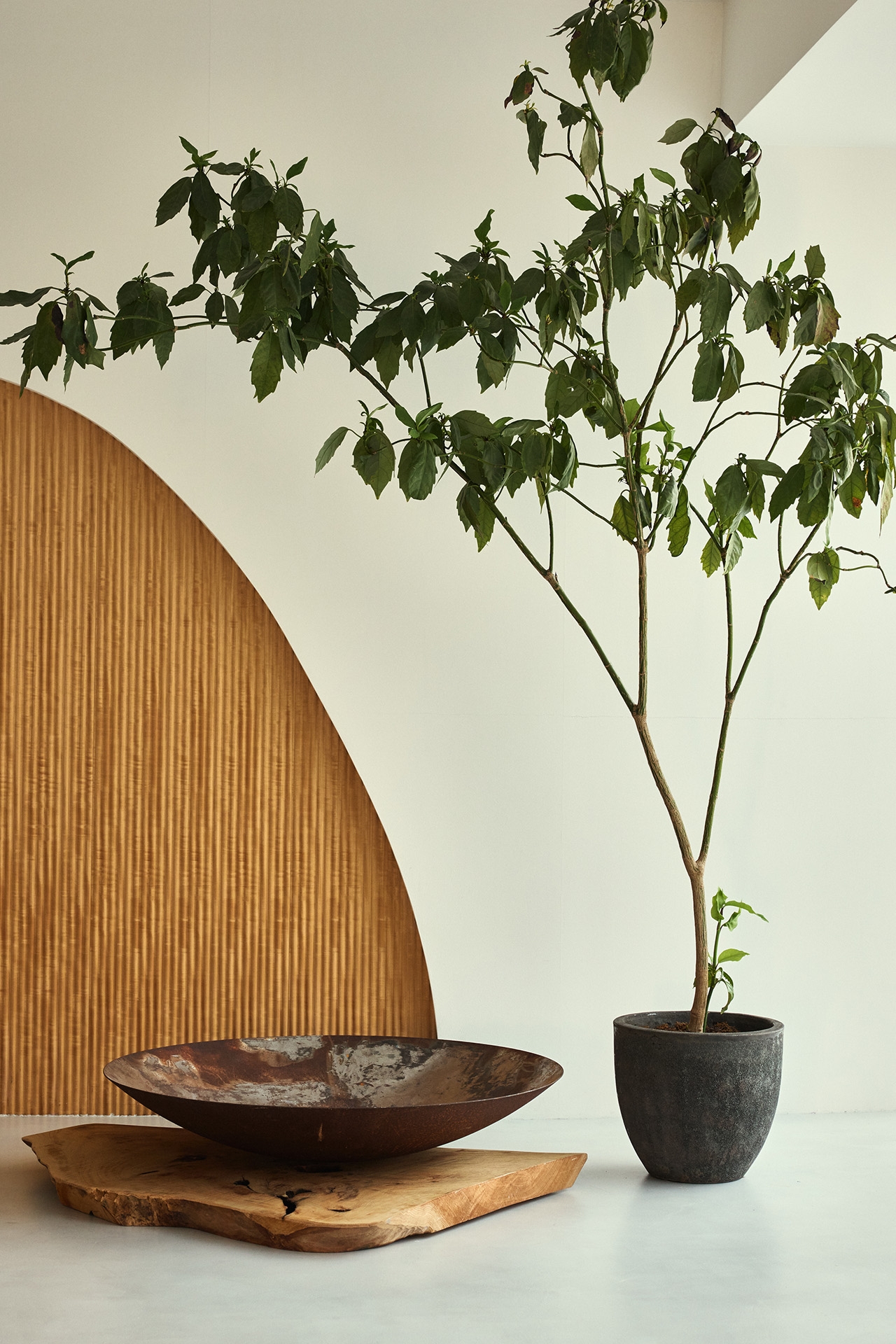 切り取り方で形の変わる造作ウッドウォール