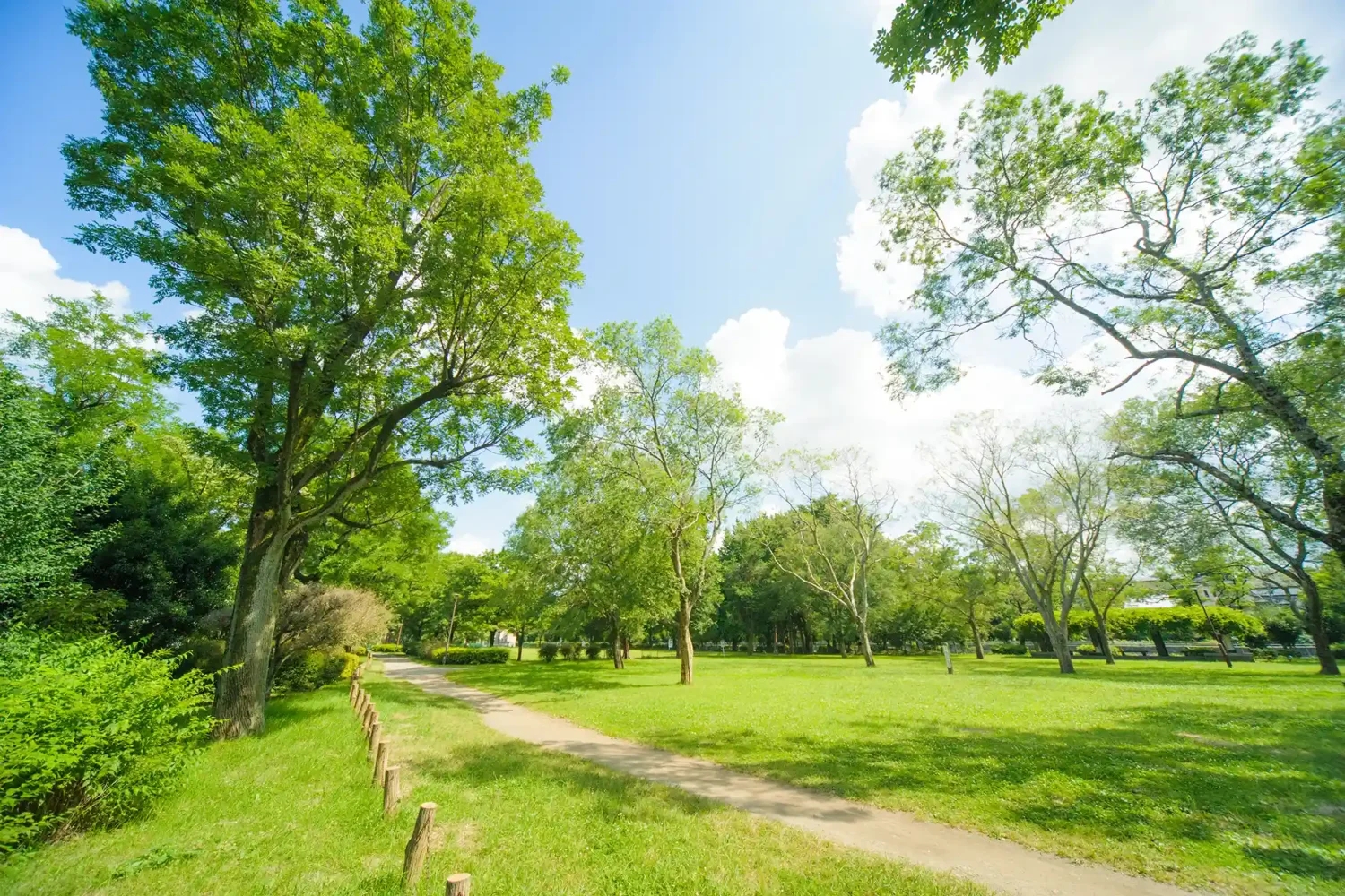 徒歩1分にある都立公園の広場