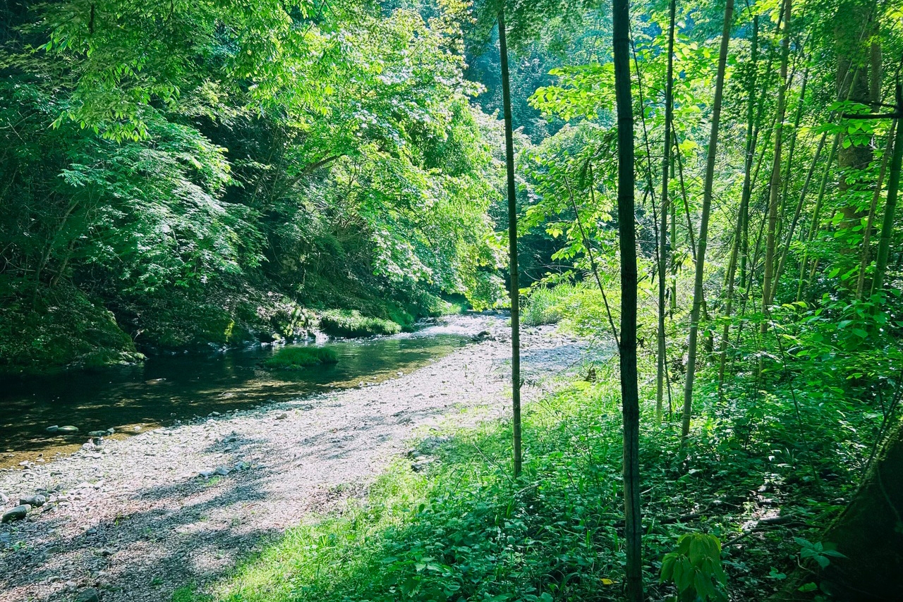 徒歩圏内にある養沢川