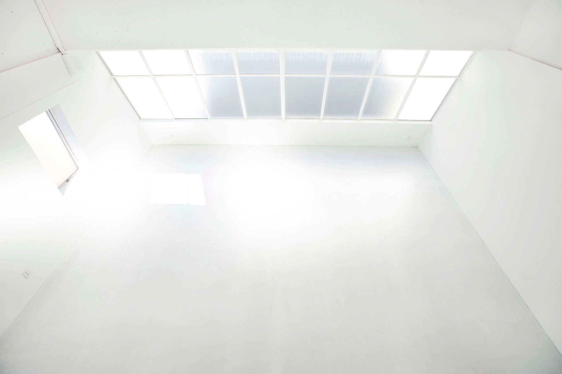 大きな窓から一日中自然光が差し込む