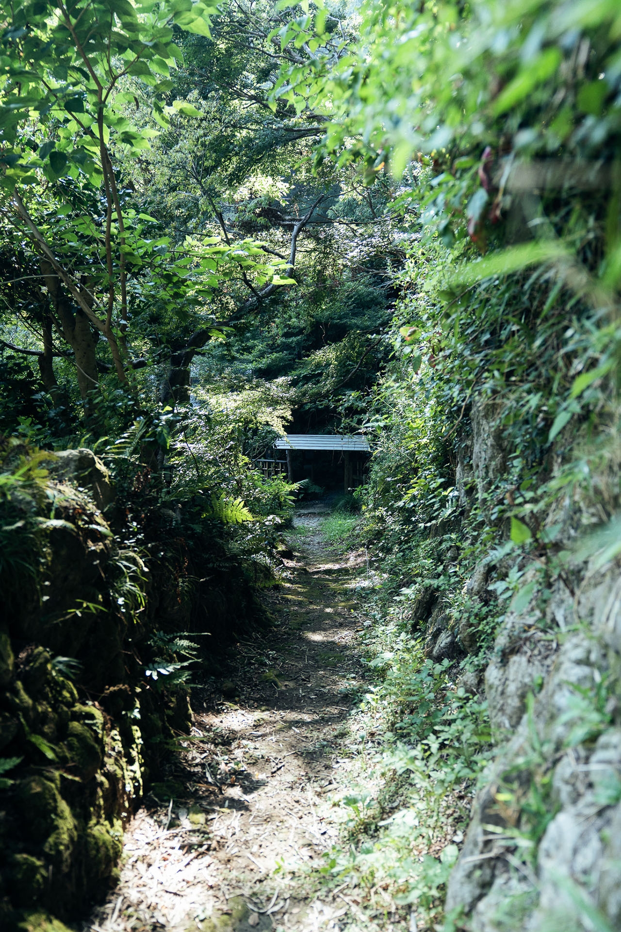 私有地エリア（撮影可能）