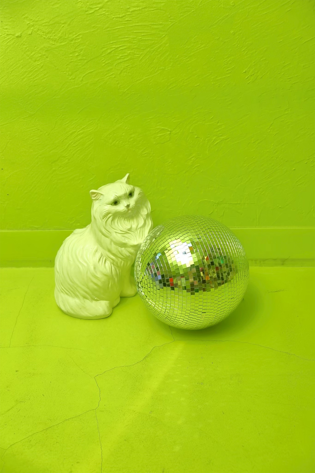 ディスプレイ用品 / 貸し出し可能