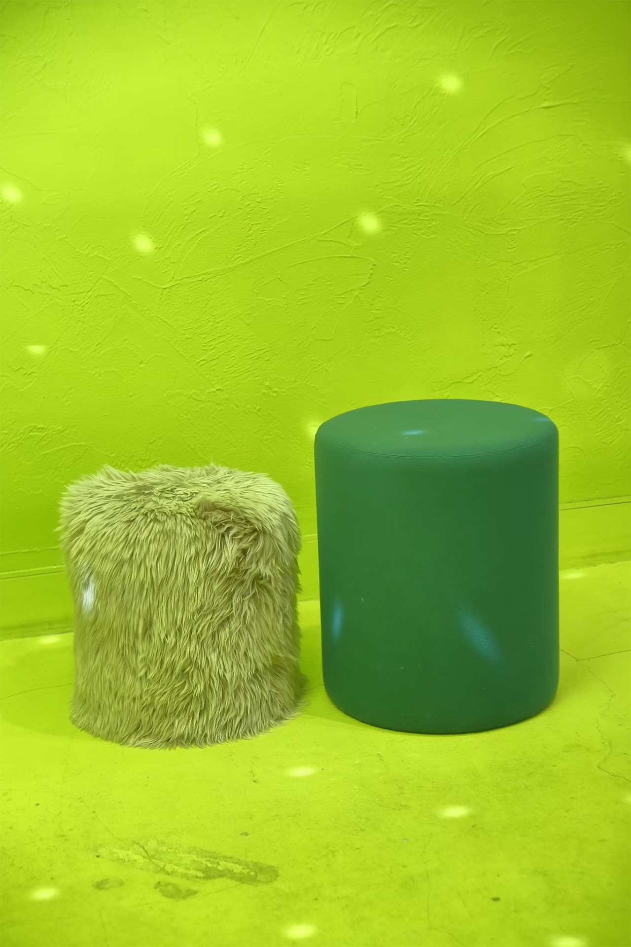 ディスプレイ用品 / 貸し出し可能