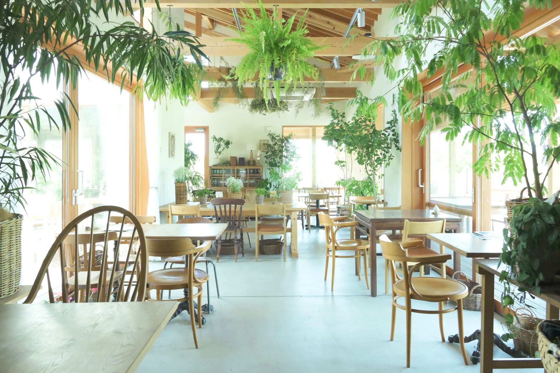 木のぬくもりを感じる店内
