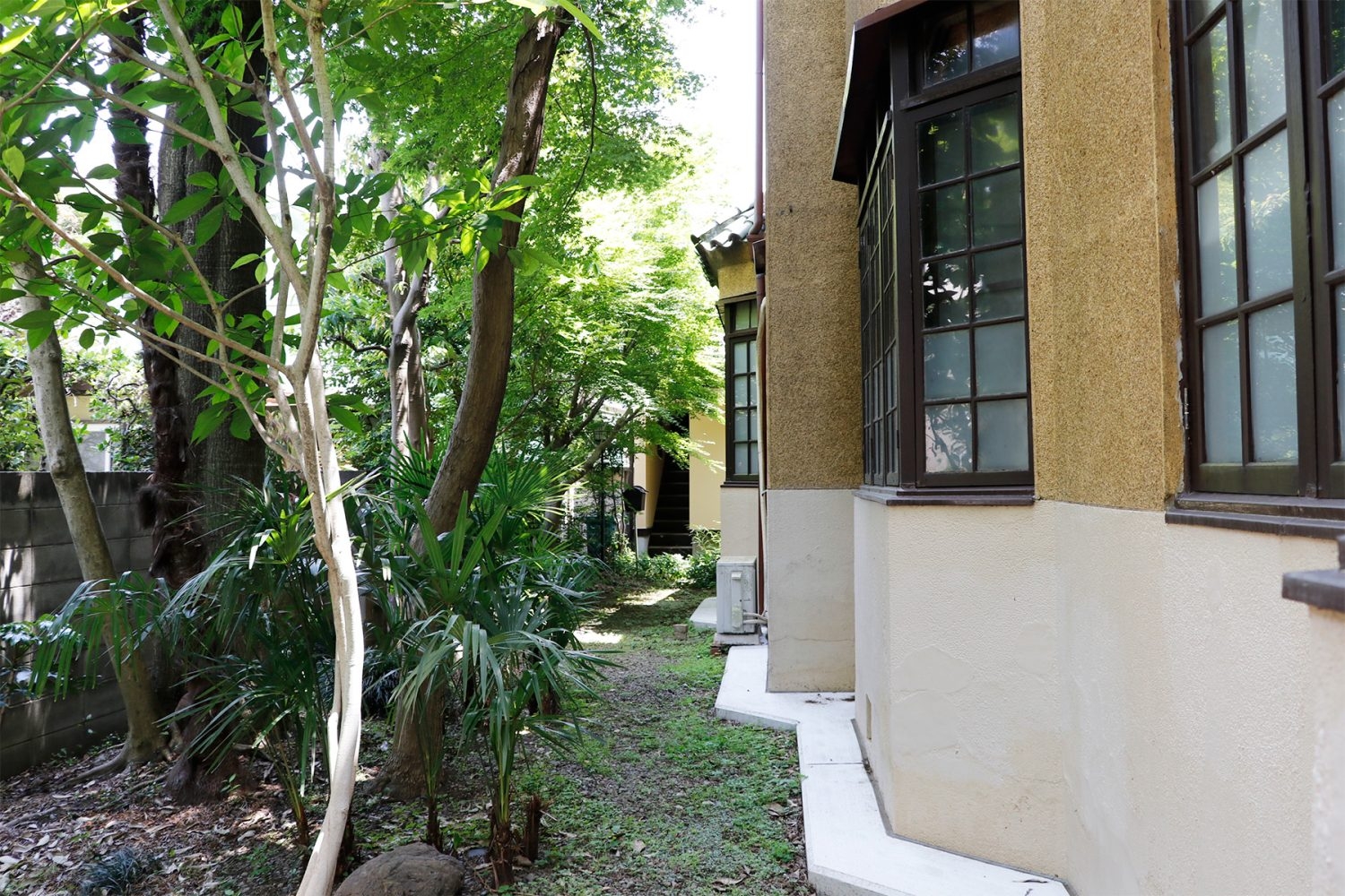 自然豊かな裏庭