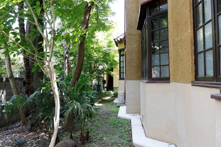 自然豊かな裏庭