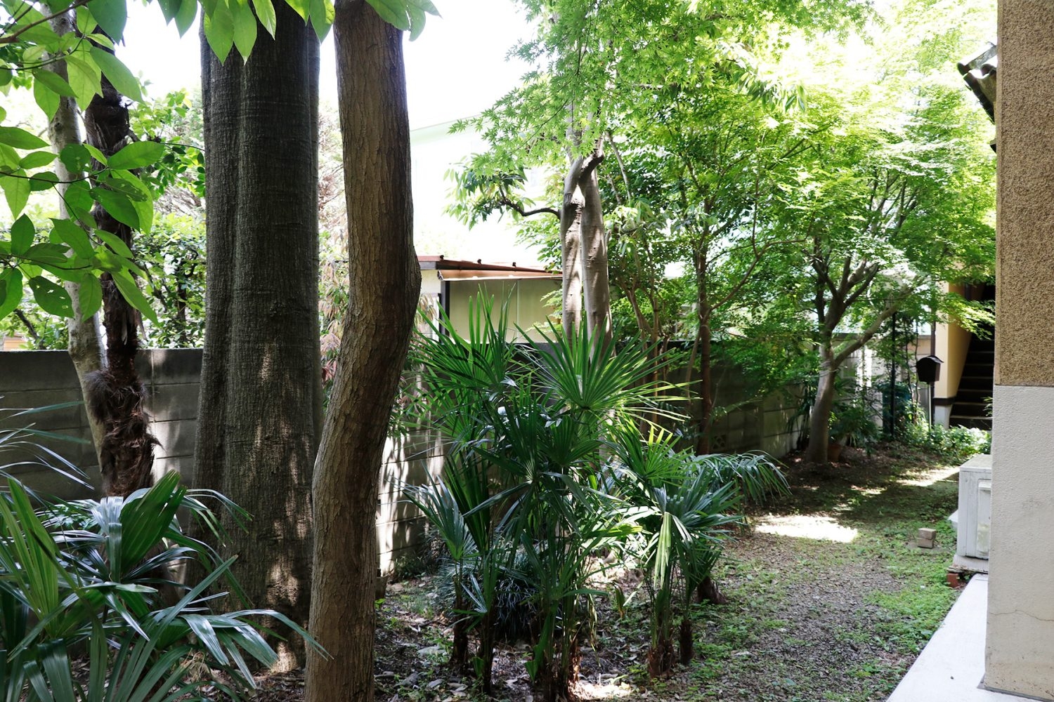 さまざまな種類の木々を背景に