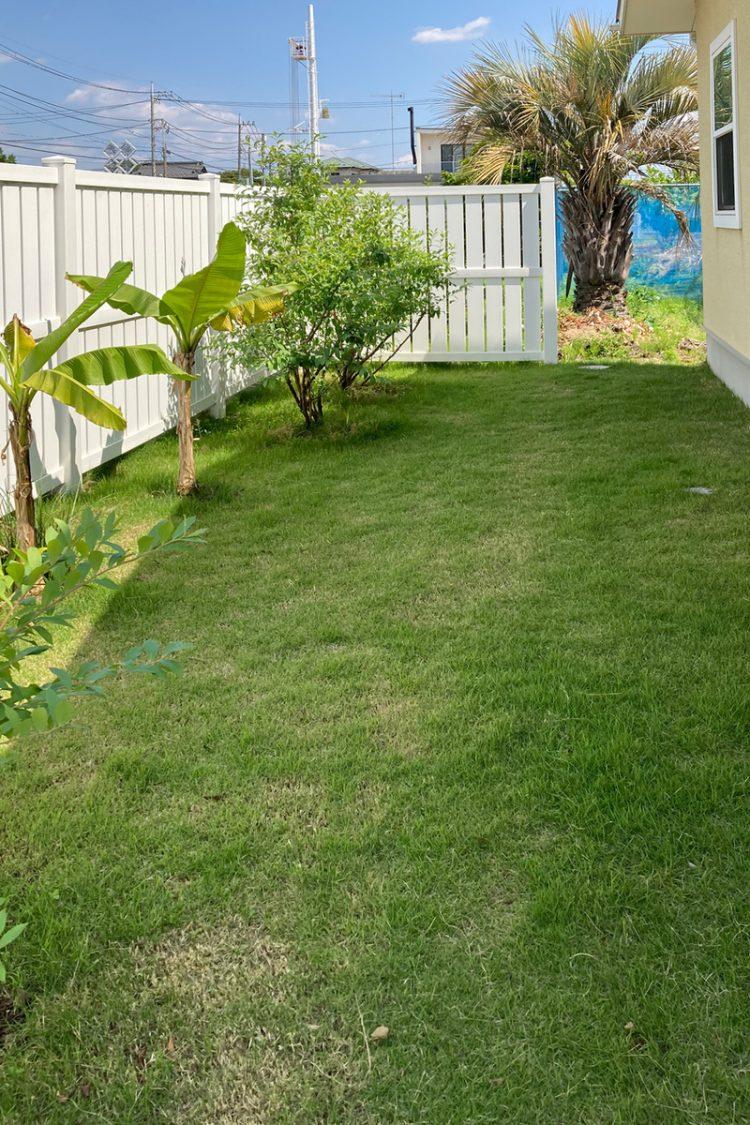 西側の庭スペース