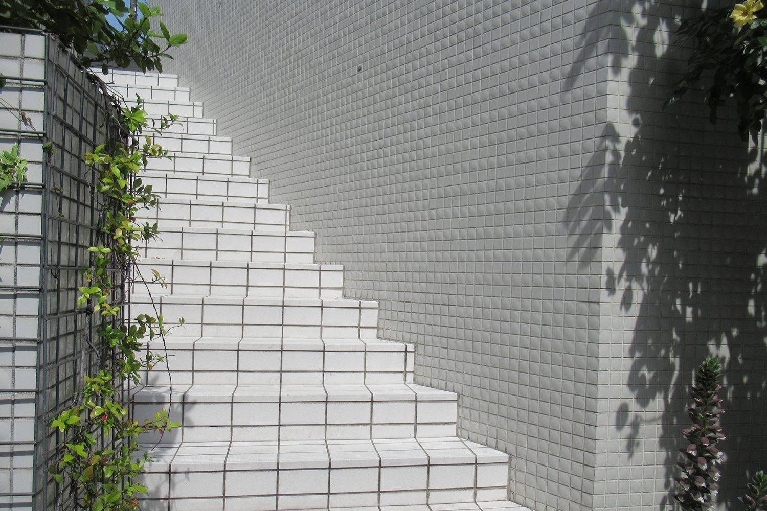 オプション:玄関横