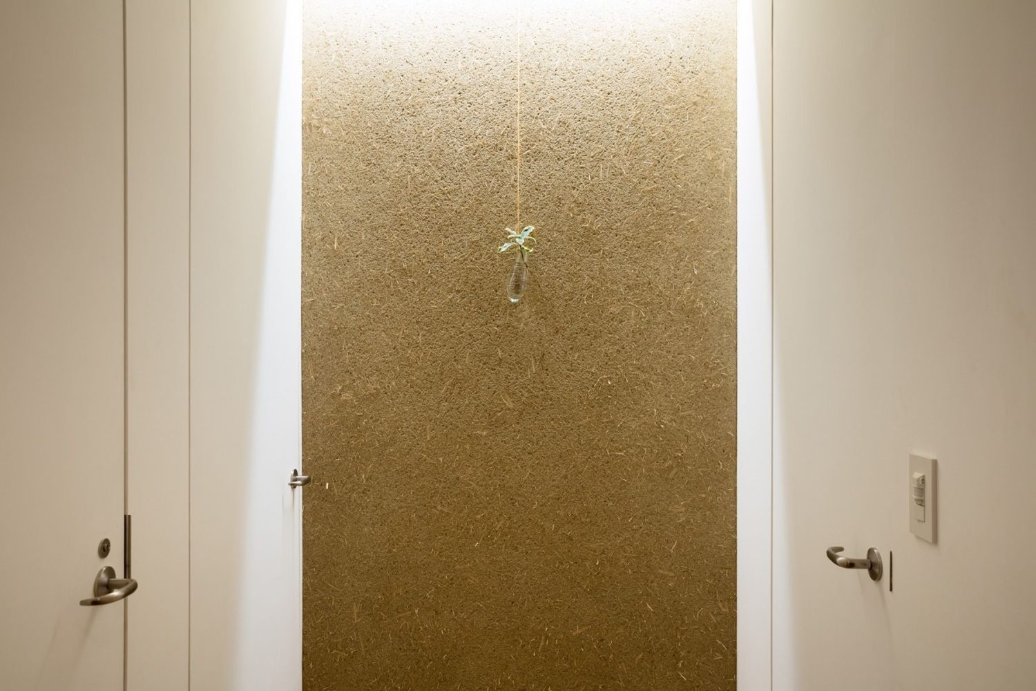 玄関正面の左官壁