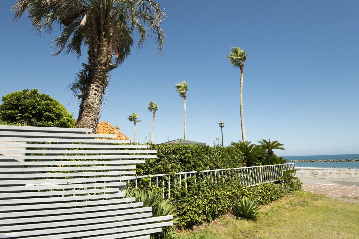 ヤシの木と緑豊富な敷地