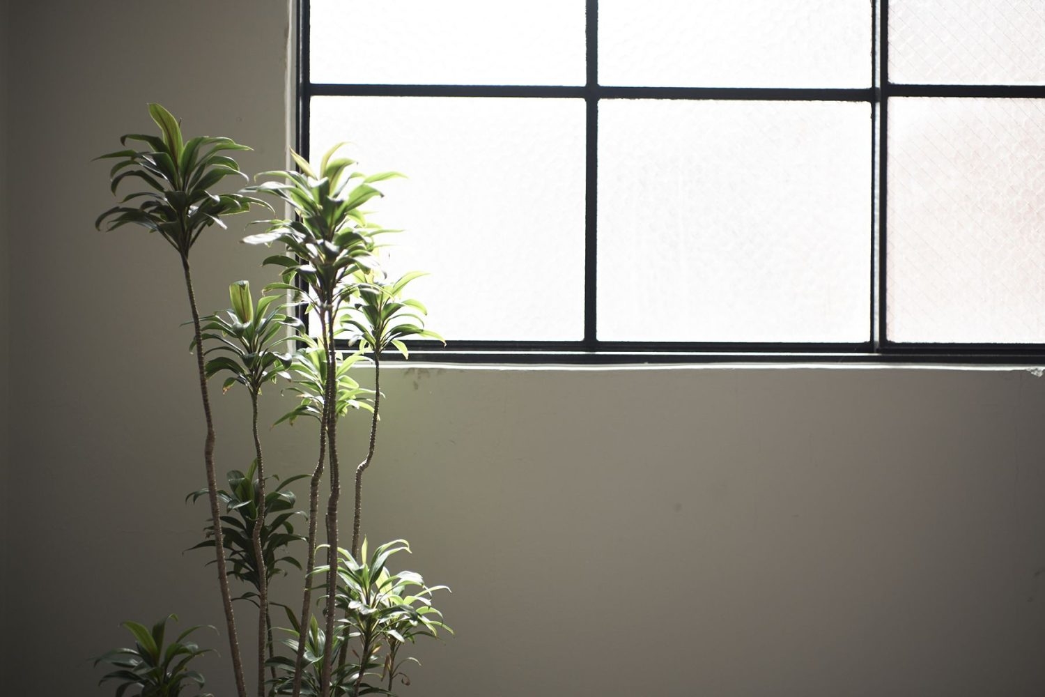 オプション:共用部