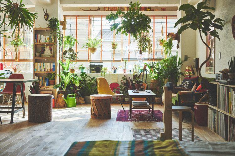 ほどよい生活感とフォトジェニックの融合