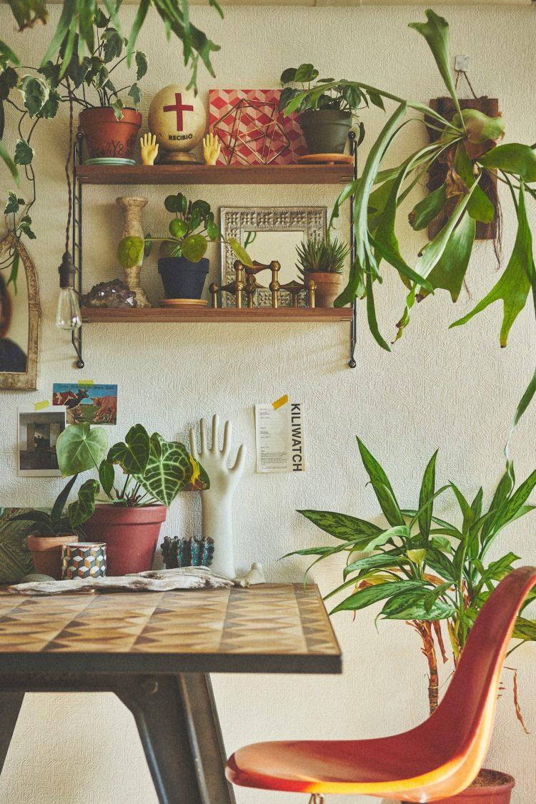 ウォールディスプレイ