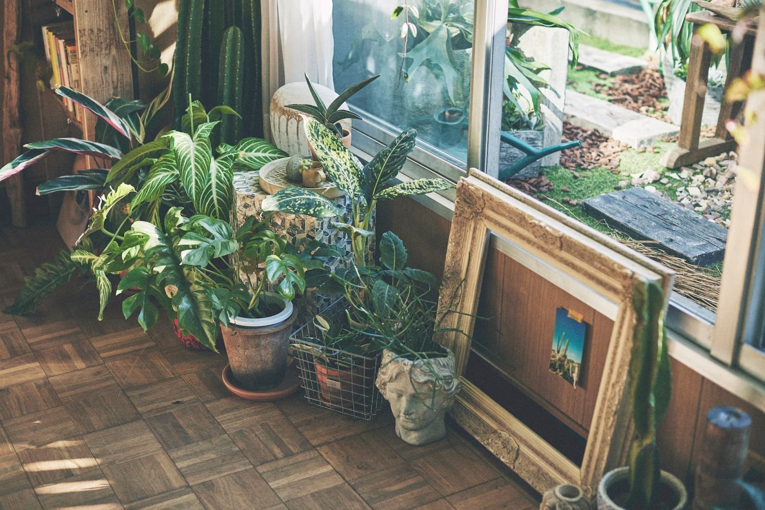 豊富な植物たち