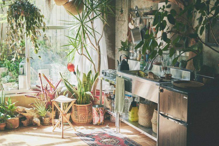 光の差し込むキッチン