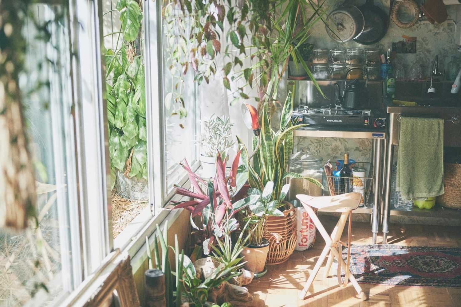 ガーデンを眺めながらのワンシーン