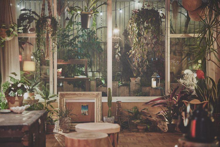 ガーデンにはストリングスライト