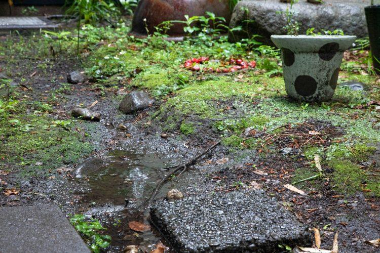 雨の日も風情がある庭