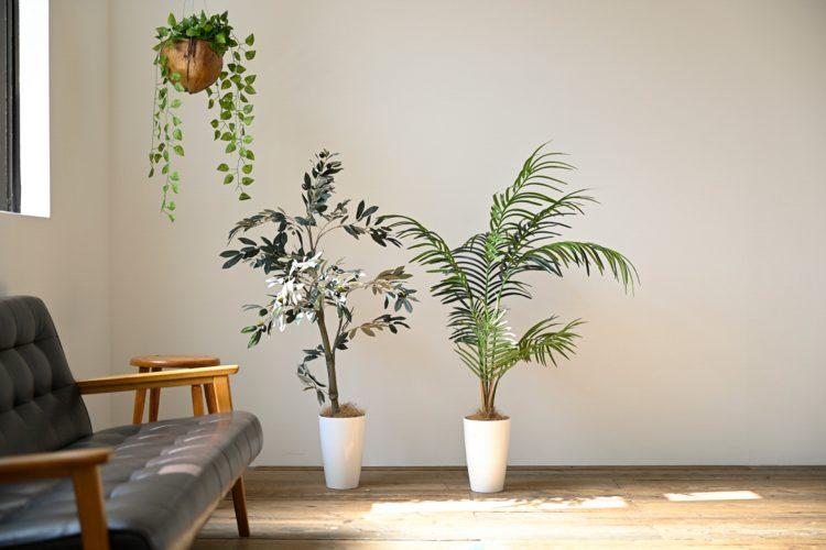 一年中使えるグリーン