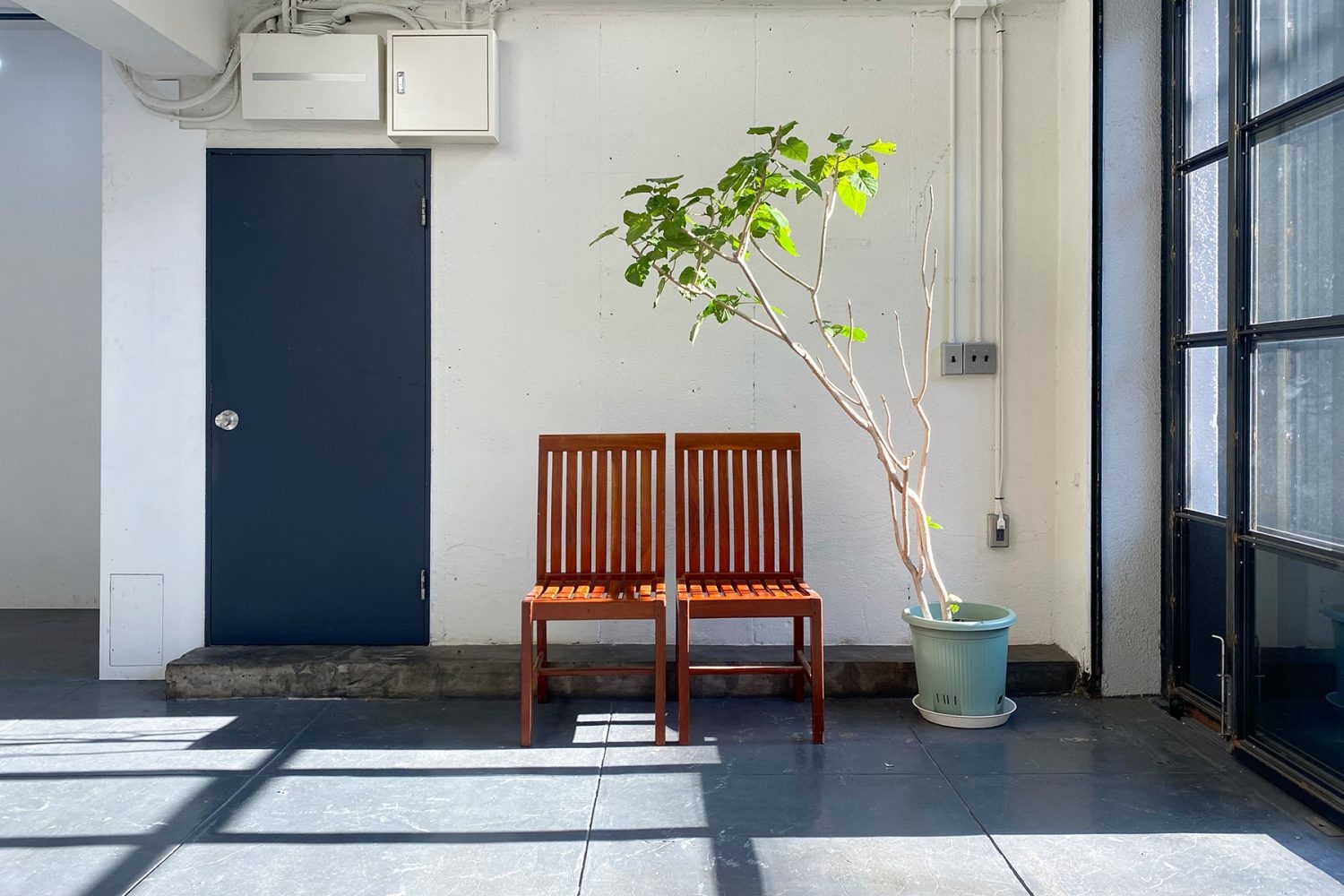 1F エントランスからの光