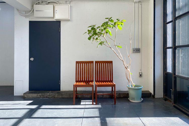 1F エントランスからの光