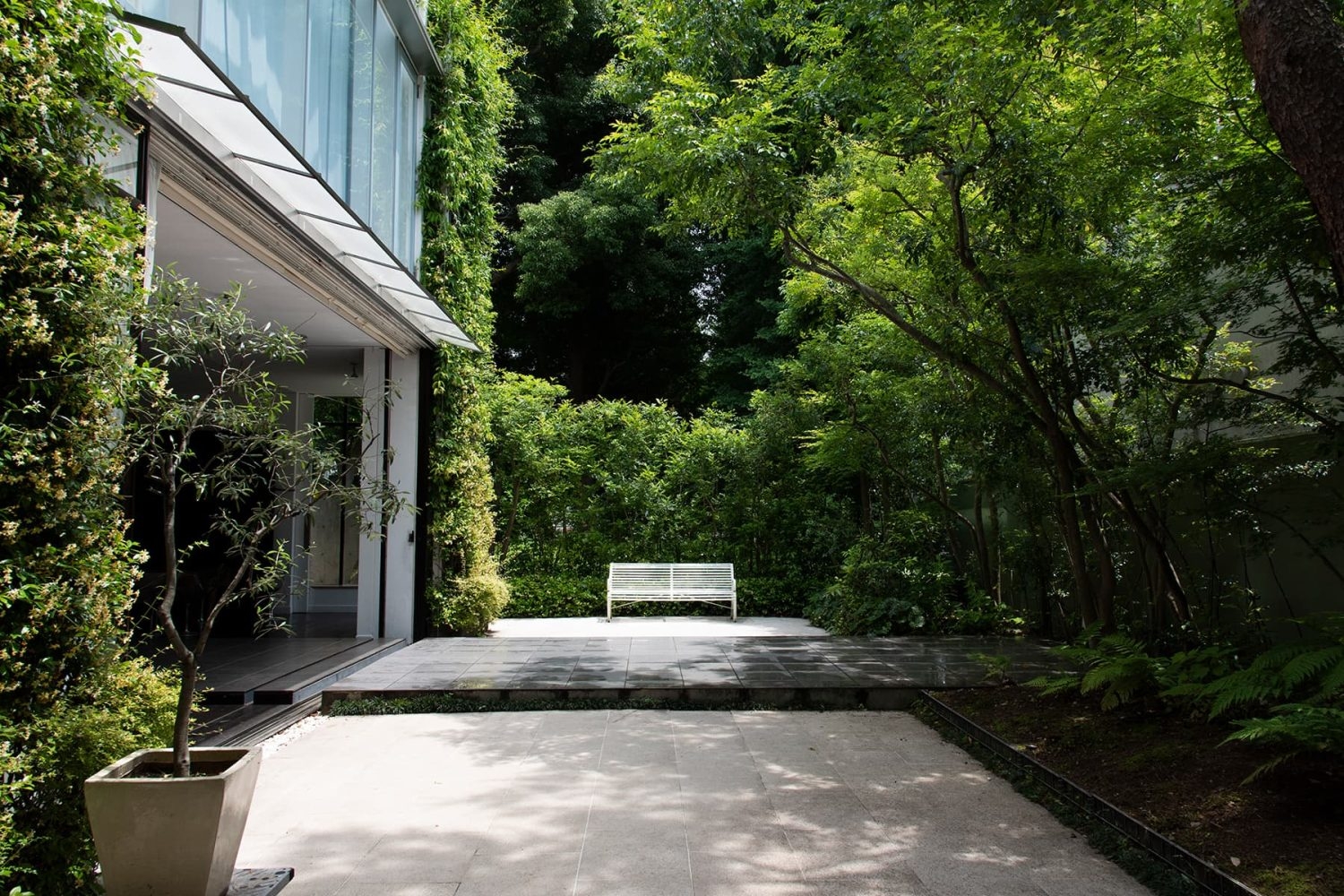 中庭(別途料金)