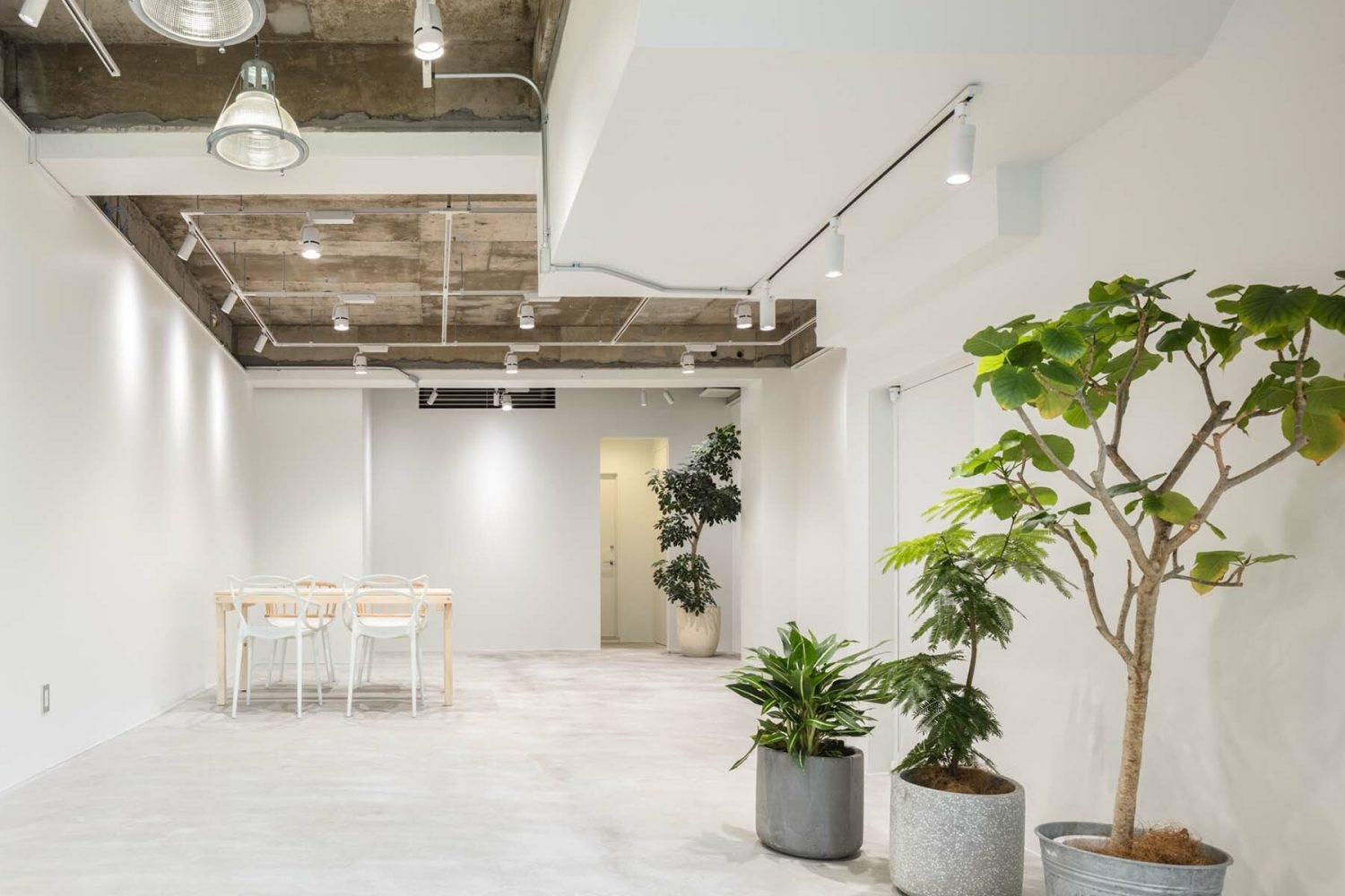 展示などのイベントにも