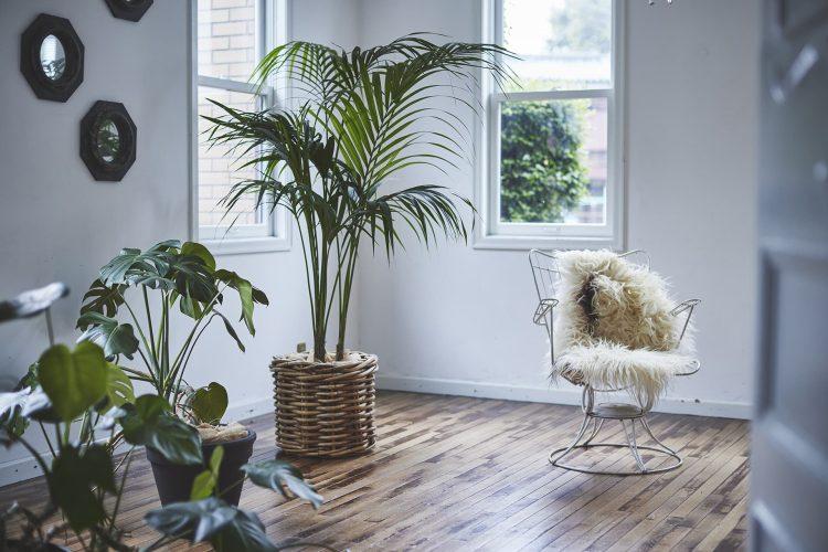 北側 白壁とフローリングのやらかい印象