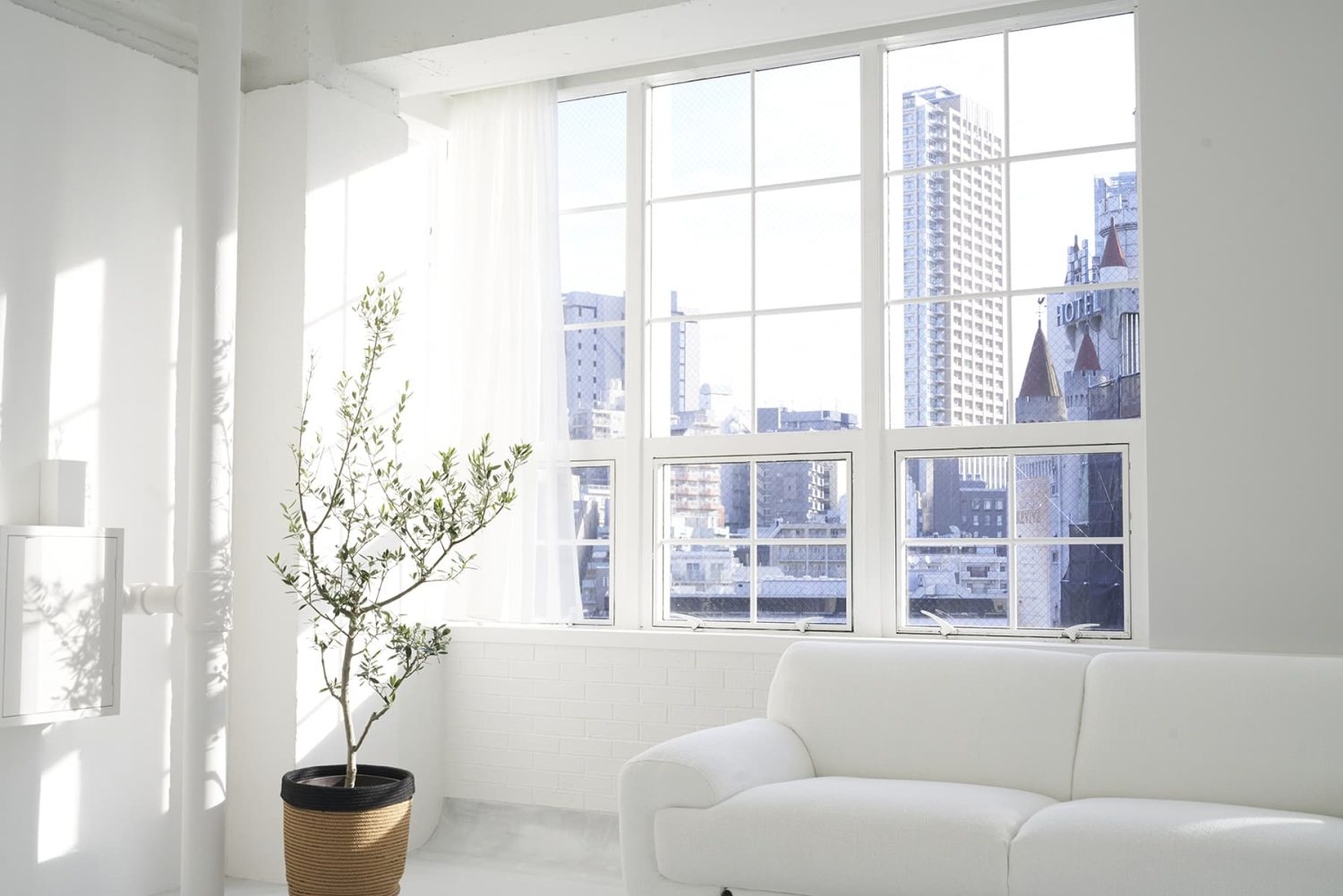 天井まである大きな窓