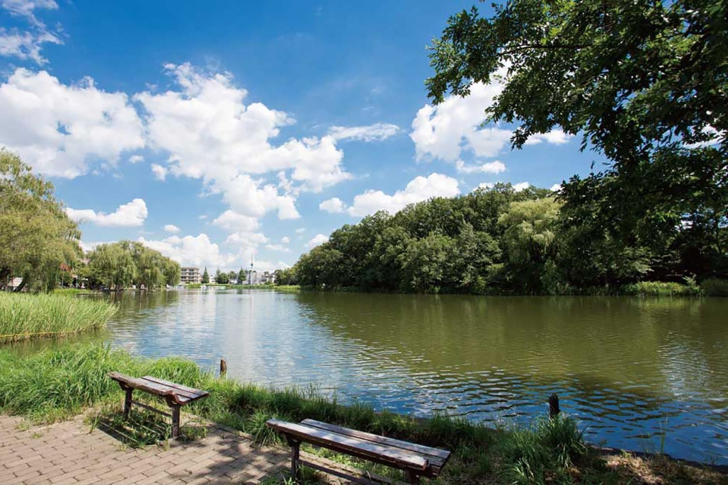 近隣ロケーション 石神井公園