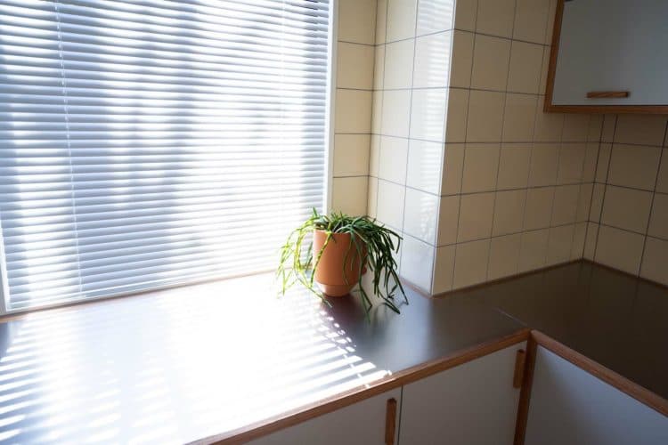 キッチン奥のカウンターに人が腰掛けての撮影も可能