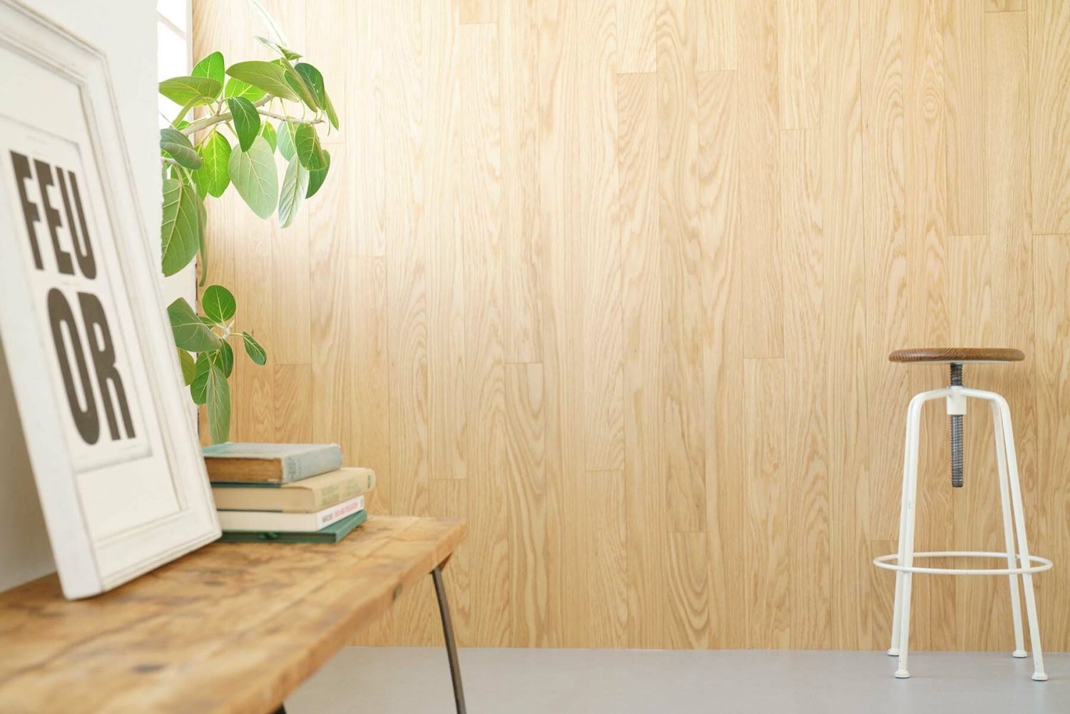 終日明るいオーク壁エリア