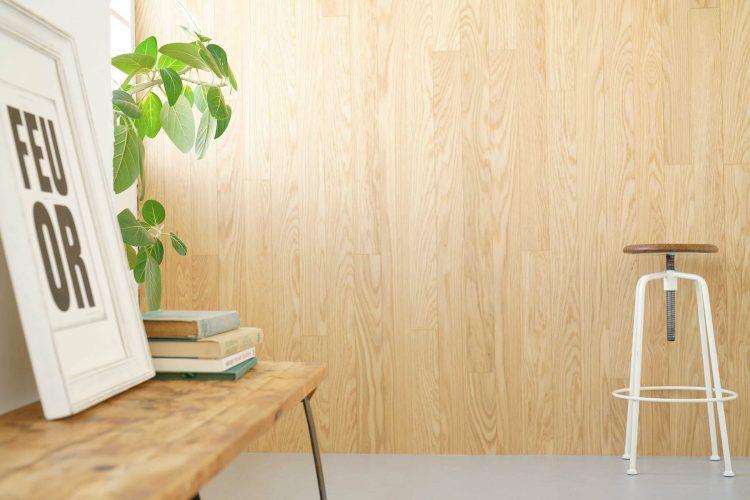 終日明るいオーク壁エリア