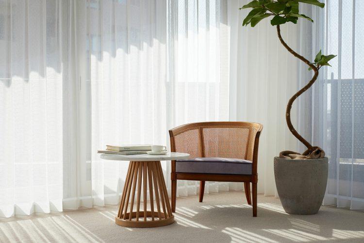 南西からの直射