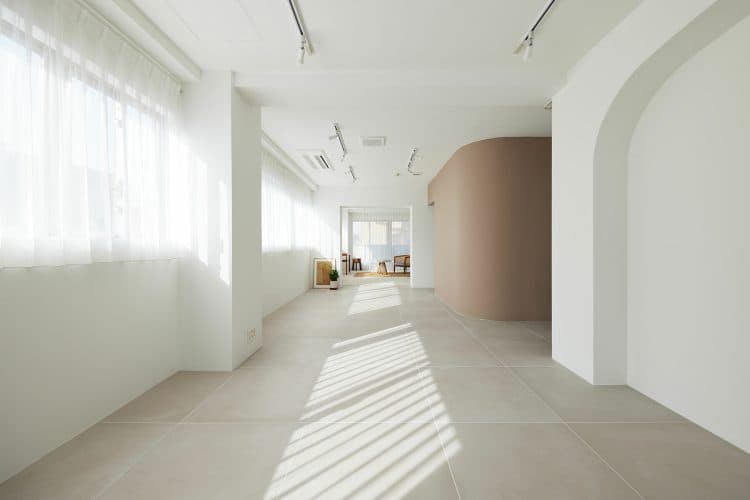 南からの自然光が部屋全体に