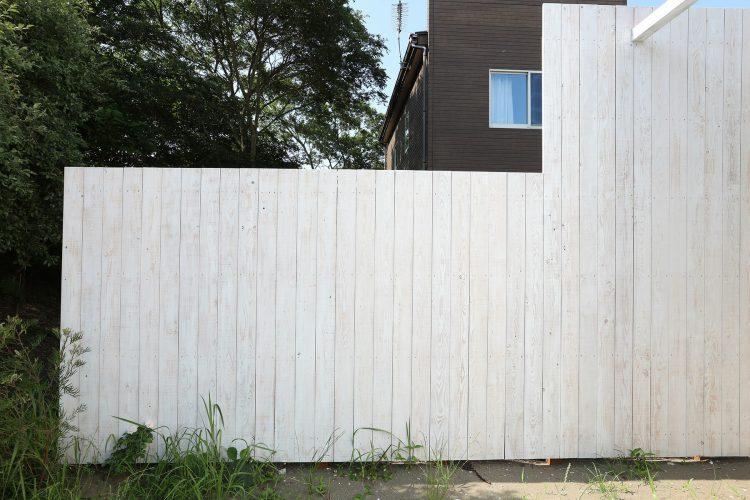 白い板塀を背景に撮影も