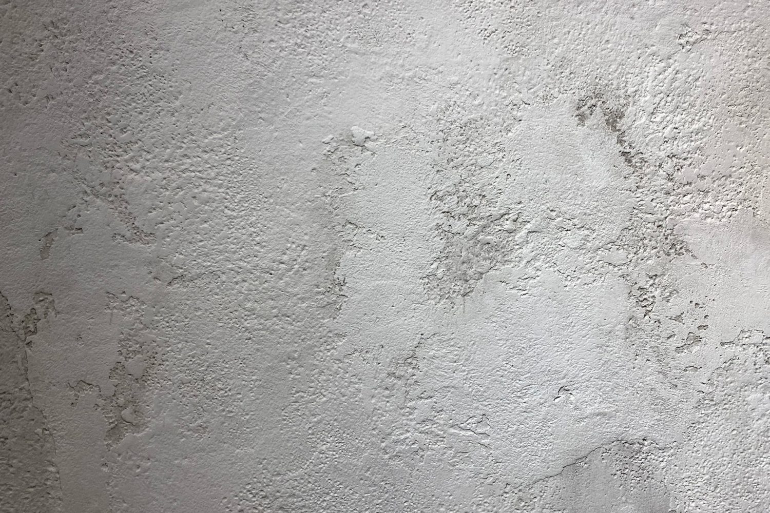 白い塗り壁