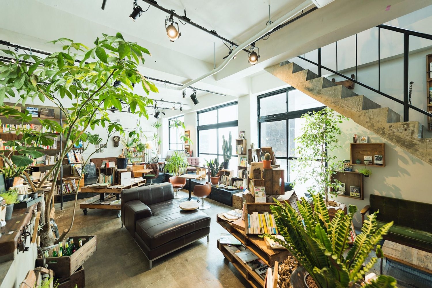 入口側から店内