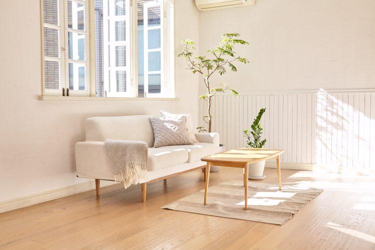 2Fは日中安定して光がまわる